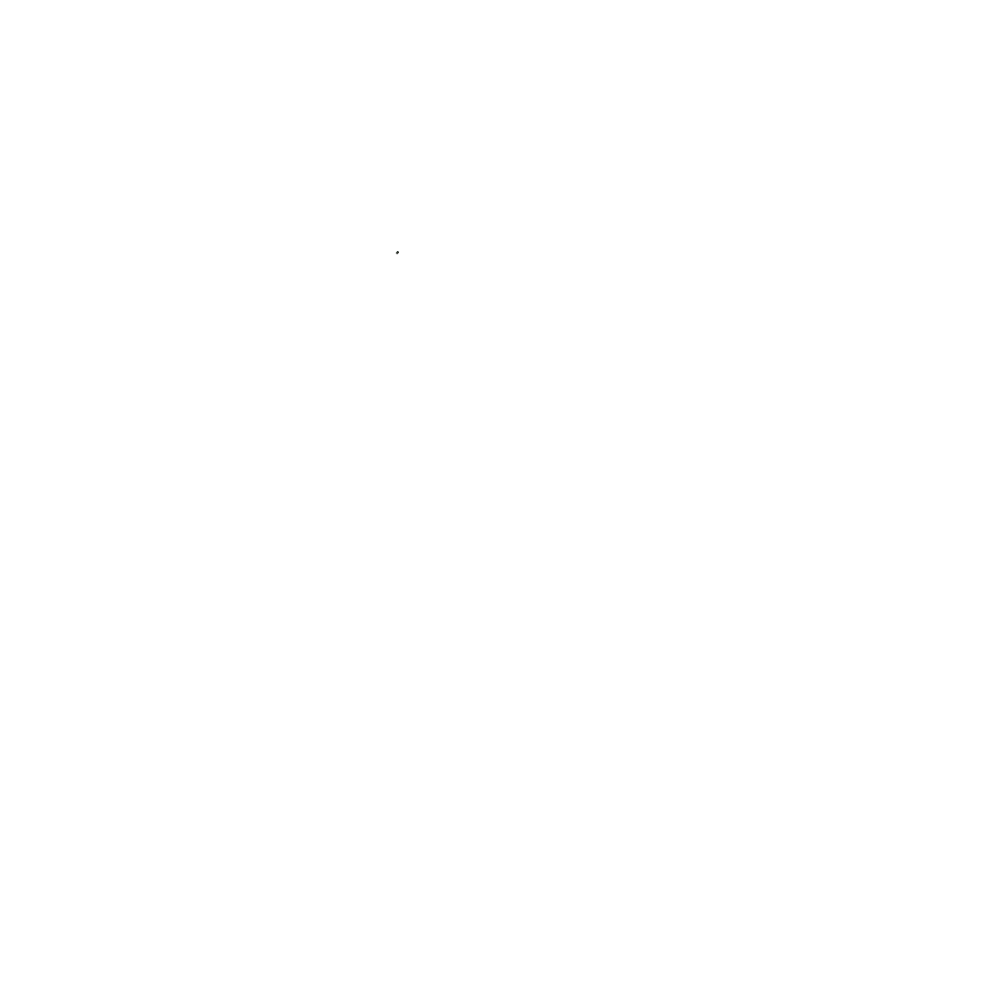 Logotipo del Bosque de los Espejos Rotos